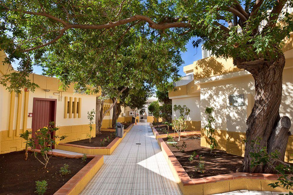 Apartamentos Plataneras Los Cristianos  Eksteriør bilde